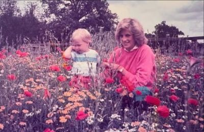 Prince William's tribute to Princess Diana