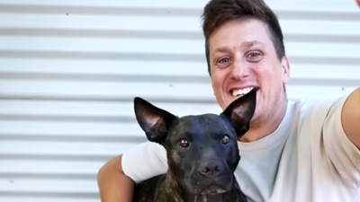 Australian Tech Founder Uses ChatGPT and AlphaFold to Design Dog Cancer Vaccine — Tumours Shrink by 75%