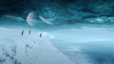 ‘We are all foreigners’: Japanese director casts dandelion seeds in migration tale