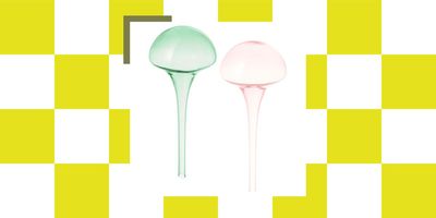 I'm Not a Natural Gardener, so IKEA's 'Self Watering Inserts' Are Now My New Favorite Thing — Plus, It Doesn't Hurt That They Look Pretty, too