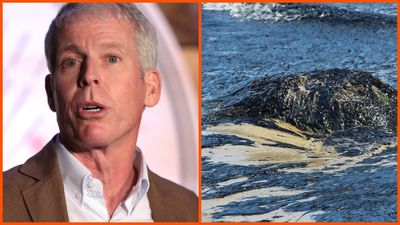 Trump promised Oil money, so his minion used emergency powers to restart disastrous oil spill pipeline