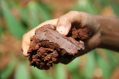 Low-Cost Ways to Improve Clay Soil