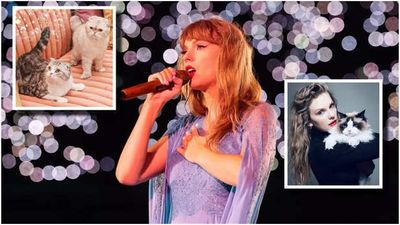 Meet Taylor Swift's Cats: Meredith Grey, Olivia Benson, and Benjamin Button