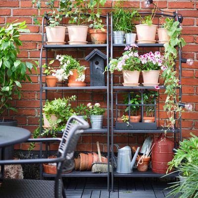 IKEA's pretty plant shelf has transformed my small concrete garden – it's doubled the amount of blooms I can grow in the tiny outdoor space