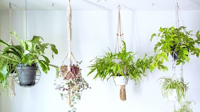 IKEA's Hanging Planter is Proof That Affordable Additions Can Make a Huge Impact – it's the Easiest Answer to a Spring Refresh