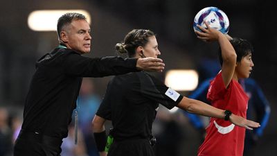 Mixed emotions: Ante Milicic plots Matildas downfall