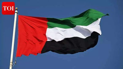 UAE news: Stranded UAE expats reveal harrowing journey back home from India