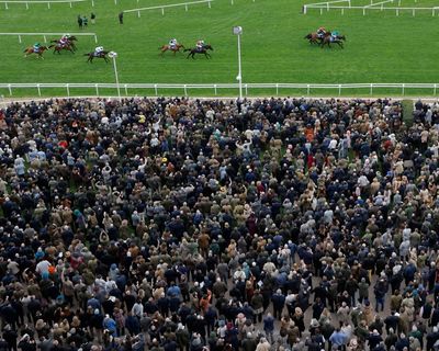 Cheltenham raised a cheer – but fatalities and fallouts tainted bounce-back festival