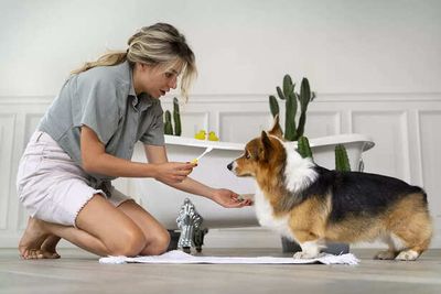 Natural Wellness for Pets: How Acupuncture and Aromatherapy Improve Their Lives