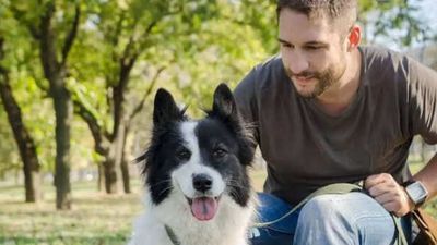 Is adopting a pet better than buying one? Here’s all you need to know