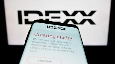 Is IDEXX Laboratories Stock Outperforming the S&P 500?