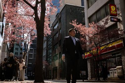 Japan’s cherry blossom season starts as three cities enjoy the bloom