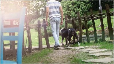 Virginia-Based Man and His Dog Saved a Woman’s Life