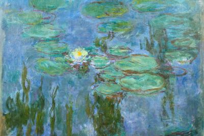 Tate to feature first Monet exhibition as organisation announces 2027 exhibition programme