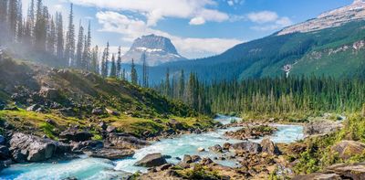 What happens to your brain in nature? The neuroscience explained