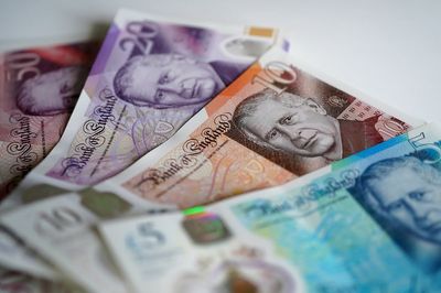 Rats or pigeons should replace Churchill on banknotes, says RSPCA