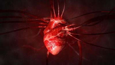 A single injection of mRNA-like treatment healed heart muscle after a heart attack in mice and pigs. Could it work in humans too?