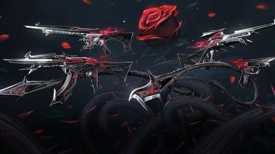 VALORANT Blackthorn bundle: Skins, price, and release date