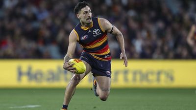 'Let him loose': Crows coach on return of banned star