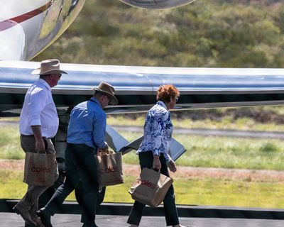 Pauline Hanson fails to properly declare more free flights from Gina Rinehart