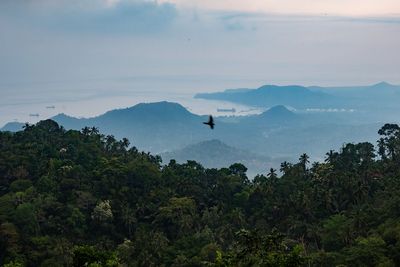 Beyond the beach: exploring Bali’s cultural heartland