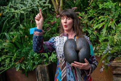 Sky monkeys, pink tutus and bum nuts: behind the scenes at the Eden Project as it turns 25
