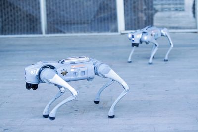 Robot dogs priced at $300,000 a piece are now guarding some of the country’s biggest data centers