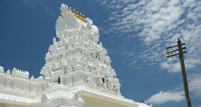 Hindu Temple in Texas Sparks Online Backlash Amid Rising Anti-Immigrant Rhetoric