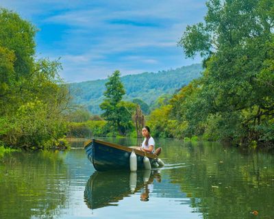 Wild Swimmers review – rickety low-budget horror finds something to worry about in the water