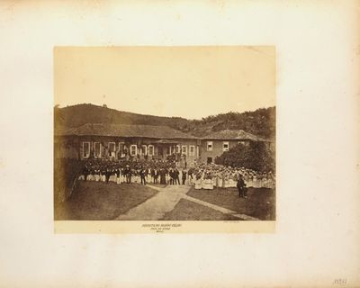 ‘These connections are overlooked’: how British companies profited from slavery in Brazil long after abolition