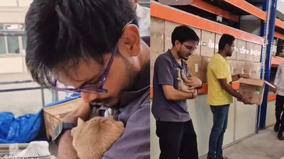 Mother dog gives birth inside factory, company wins hearts after choosing kindness over neglect