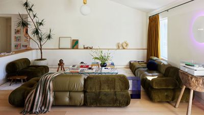 What Does Green Represent in Feng Shui? Here's Your Guide to Designing With This Wood Element for a Harmonious Home