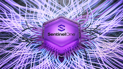 A Market Divided on SentinelOne's Future
