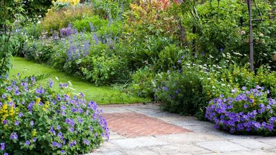 Break Up Hard Garden Soil Now to Give Your Spring Plants the Best Start – 3 Quick and Easy Fixes