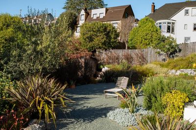 Can culling your garden slow a wildfire? A California city pins its hopes on a contested plan