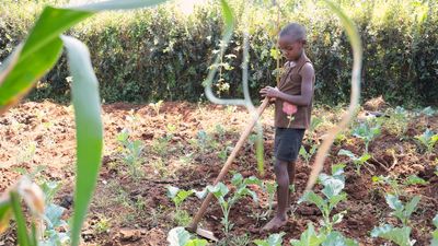 Trump’s disastrous diplomatic moves are creating a new reality, leaving an entire continent bracing for an unimaginable catastrophe