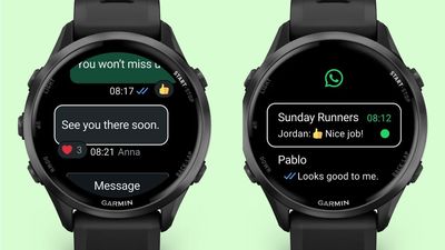 'More people can keep their private conversations going right from their wrist' as Garmin works with Meta to add WhatsApp integration to 'select' watches