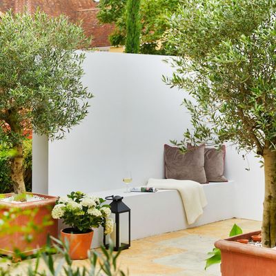 How I'm planning to transform my garden into a Mediterranean oasis this summer with fragrant flowers, terracotta tones and simple, budget-friendly outdoor decor swaps