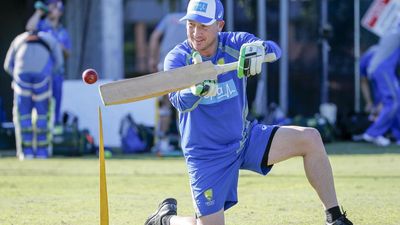 Blues back in the Test team Haddin's main coaching goal