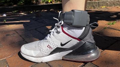 Focus on deportations after killer's High Court win