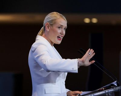 As South Australia’s Liberals struggle to stay in the fight, will their preferences usher in One Nation?