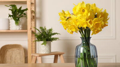 Stop cutting your daffodils wrong — here’s how to make them last twice as long