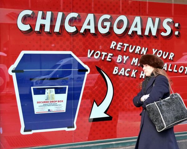 Democratic voters select House candidates in Illinois after heated primaries