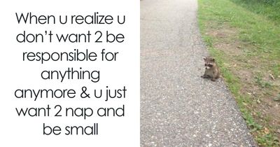 “What If?”: 125 Internet Posts That Made Scrolling Way More Enjoyable