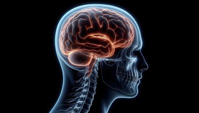 What is Meningitis and How to Stay Safe from it as UK Health Cases Trigger National Incident