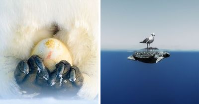 The Best Of ‘The Ocean Photographer Of The Year’ Awards In 51 Stunning Photos