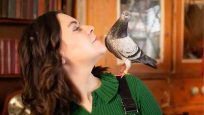Woman rescues injured pigeon from pub, internet names her Penny; the emotional story wins hearts