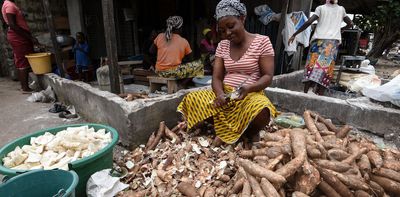 Climate change could pose a major risk to cassava in Africa: study sets out what can be done now