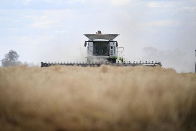 ‘It’s not panic-buying’: farmers defend stockpiling as regional Australia bears brunt of fuel crisis