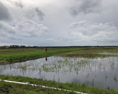 England must destine 7% of land to nature and renewables to hit green targets, data shows